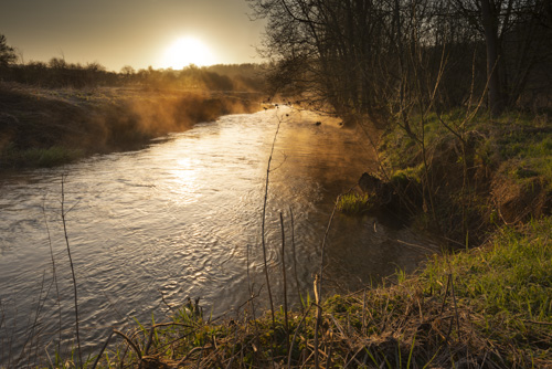 River Evenlode at Dawn